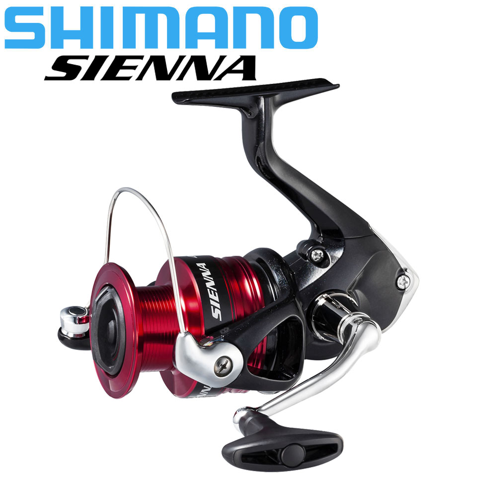 Shimano Sienna Spinning Angel  – Shimano Reel Sienna Bewertung und Preis