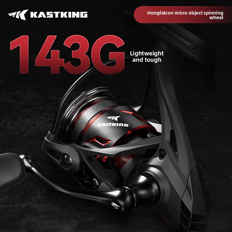 Castin24Black Hongshun Micro S – Abu Garcia Reel Max Bewertung und Preis